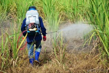 Bảo vệ môi trường: Séc hạn chế việc sử dụng chất diệt cỏ có thể gây ung thư
